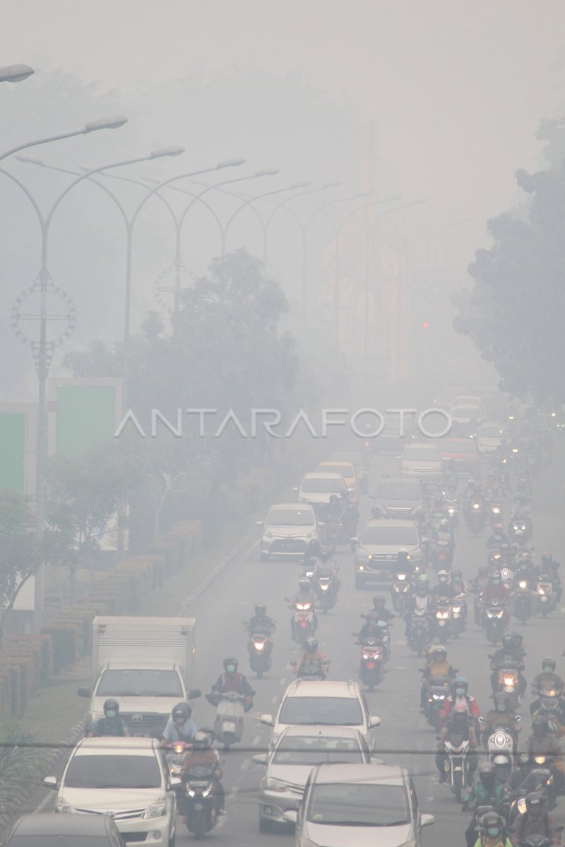 Penggantungan Roo-Safe Ditala untuk Titik Panas Melintasi Kanggaru