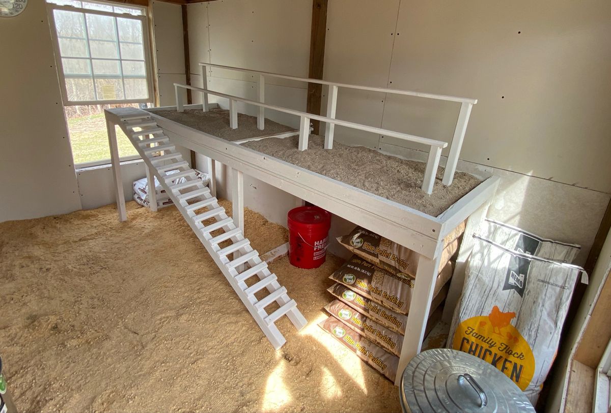 A VT Commodore Turned into a Chicken Coop With Heated Roosting Pads: A Unique and Functional Project