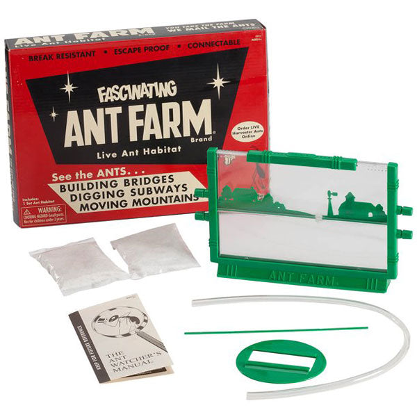 The Pajero Modified With a Working Ant Farm Dashboard: A Novel and Fascinating Twist on Automotive Customization