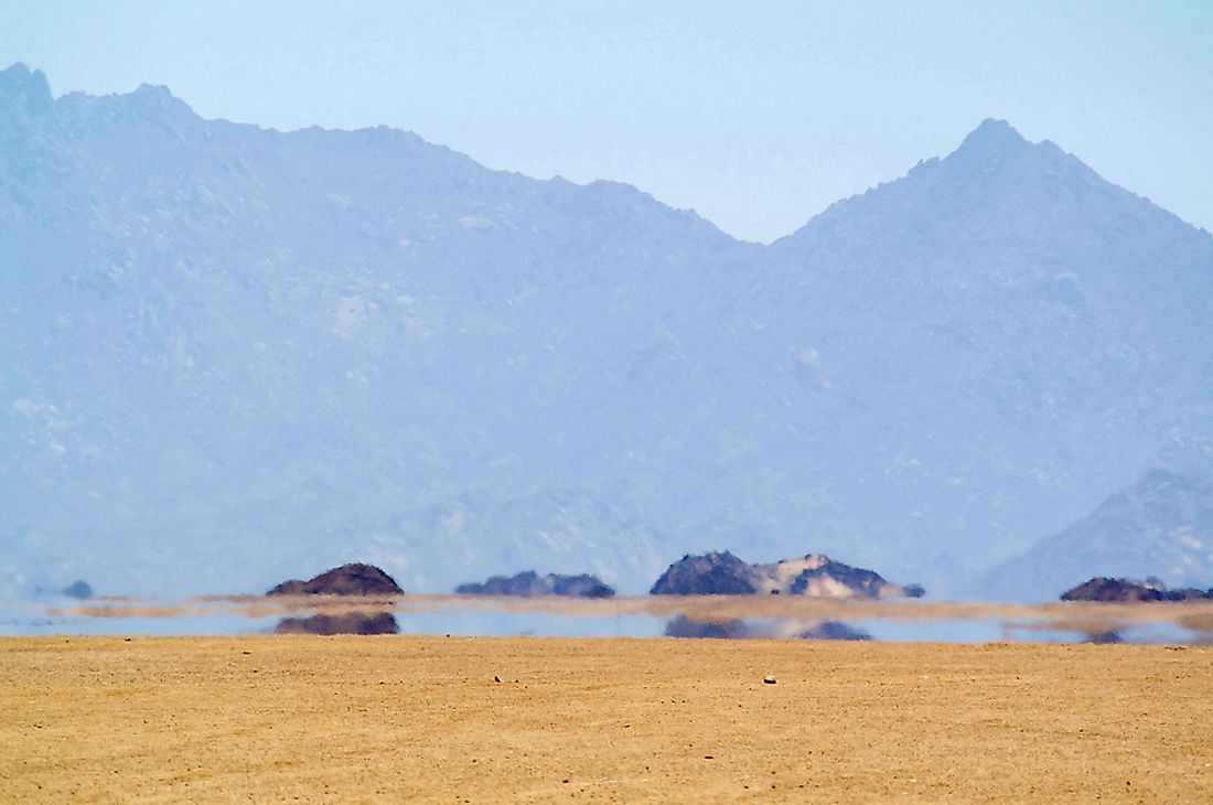 The Mirage That Runs on Fermented Eucalyptus Oil