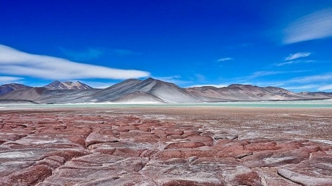 Minyak Wangi Diperbuat daripada Bau Hujan di Gurun Atacama