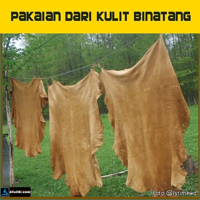 Pakaian dari Kulit Terap Purba dan Simpul Angin Gunung Halimun