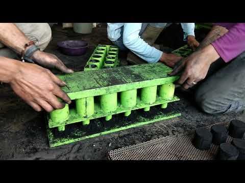 Mata Didahulukan dengan Arang Tumbuhan Era Devonian