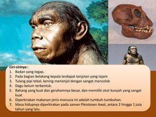 Topeng daripada Tulang Tymbuhan Laut Purba: Beretika?