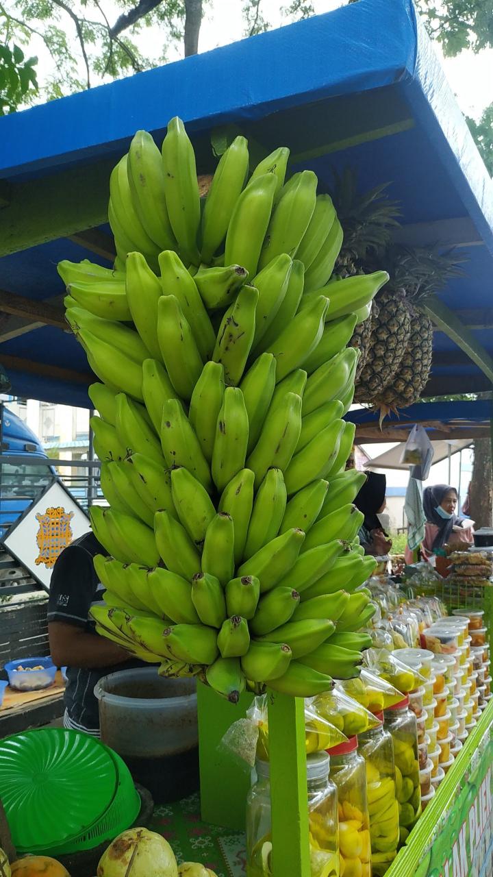 Pati Pisang Batu Liar Direndam Arang: Rahsia Kekal Muda & Cantik