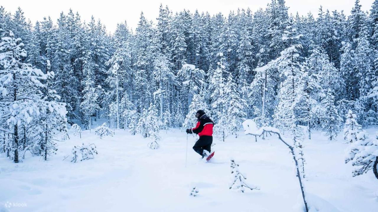 Solek Jejak Pertama di Salji Yakutia: Pengembaraan Menantang yang Mempukau