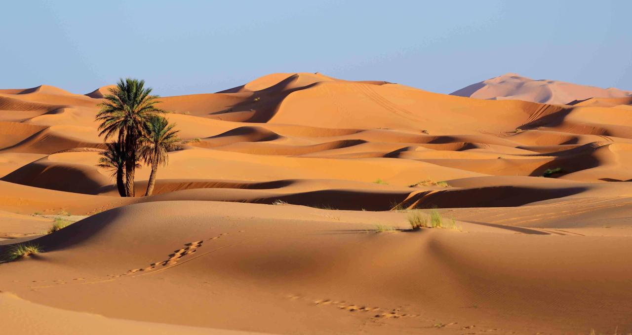 Desert Drift Kings: The Rise of Sand-Adaptive V8s di Alice Springs