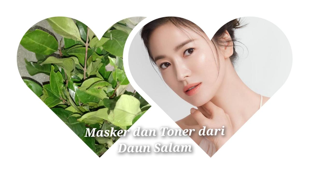 Toner dari Percikan Daun Berakar Di Liang Liang