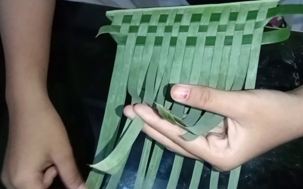 Jaket Daripada Kulit Pisang Gergasi dan Anyaman Digital: Pengalaman Unik