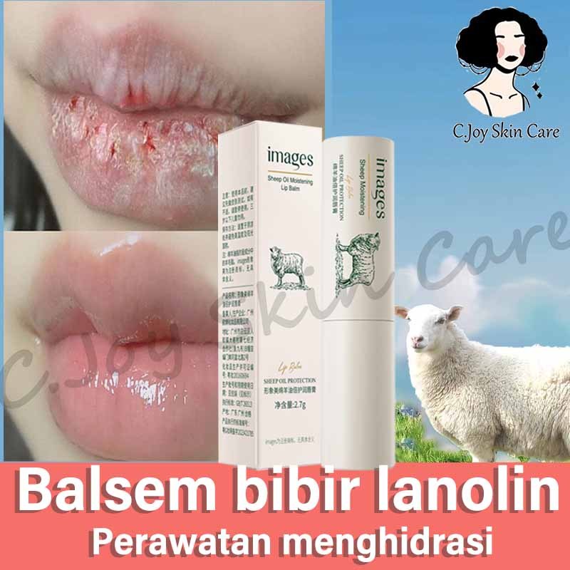 Balsem Bibir daripada Minyak Zaitun Liar Lembah Bekaa