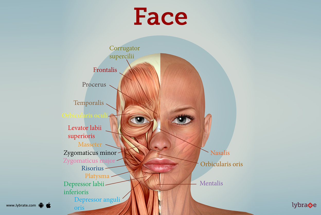 Face Mist dari Steam Pure Spring Cave Gombong: Pengalaman Keanggunan Alami