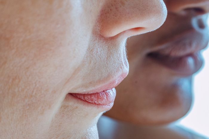 Balsem Bibir daripada Lemak Kuda Mongolia: Mengatasi Gejala Keringan dan Kemerahan Bibir