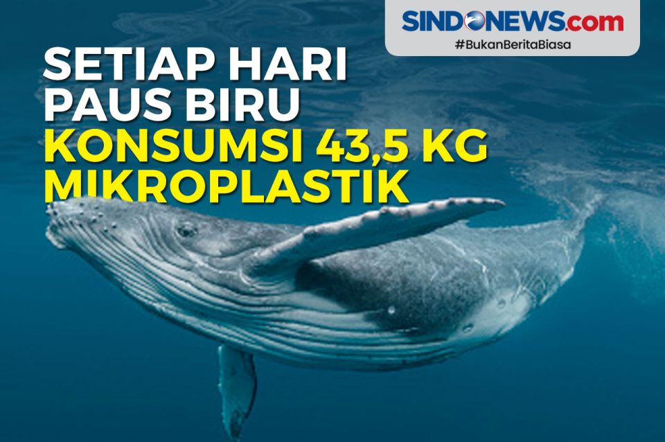 Pelembap Berasaskan Garam Disuling daripada Peluh Paus Biru