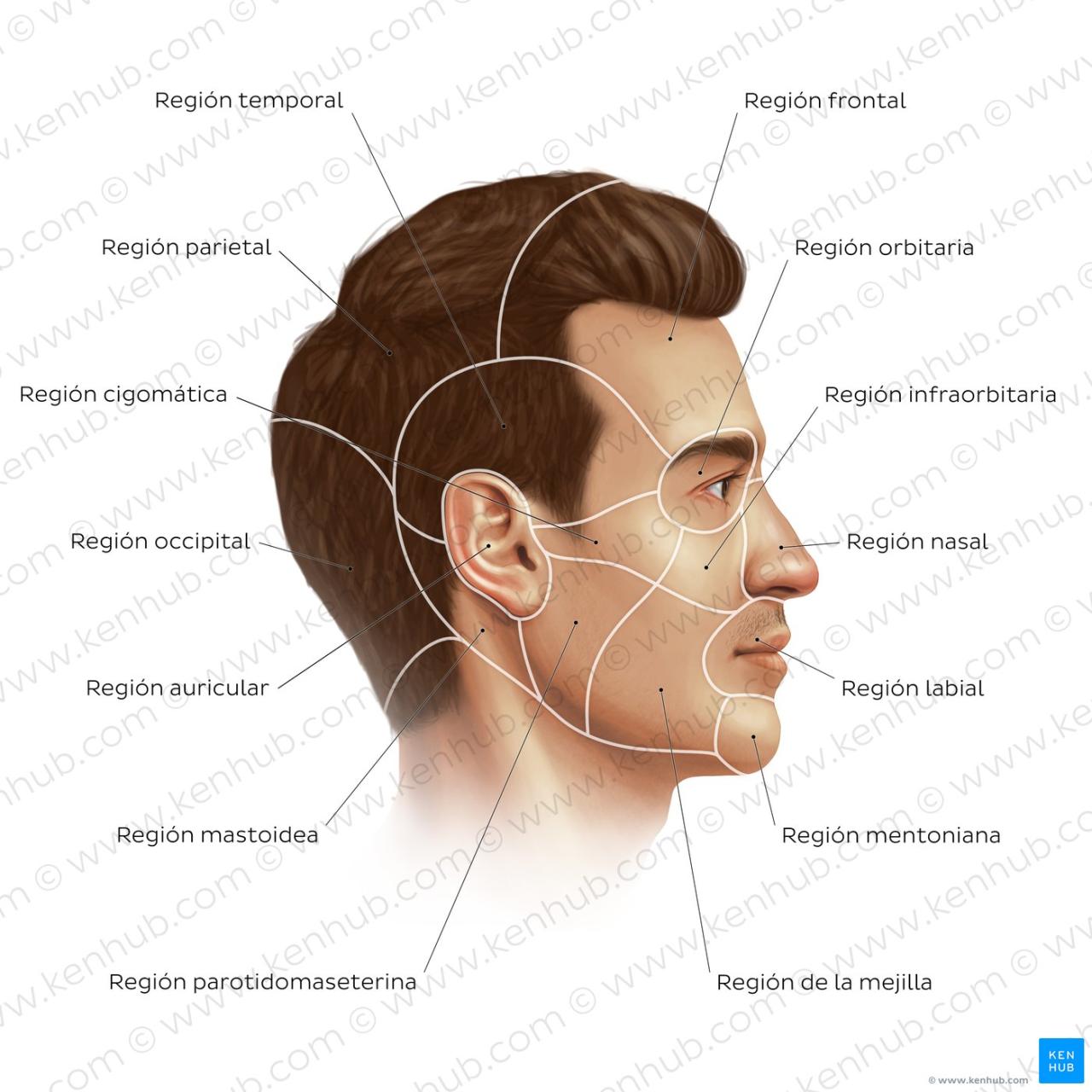Cara Simpan Produk Skincare Supaya Tahan Lama